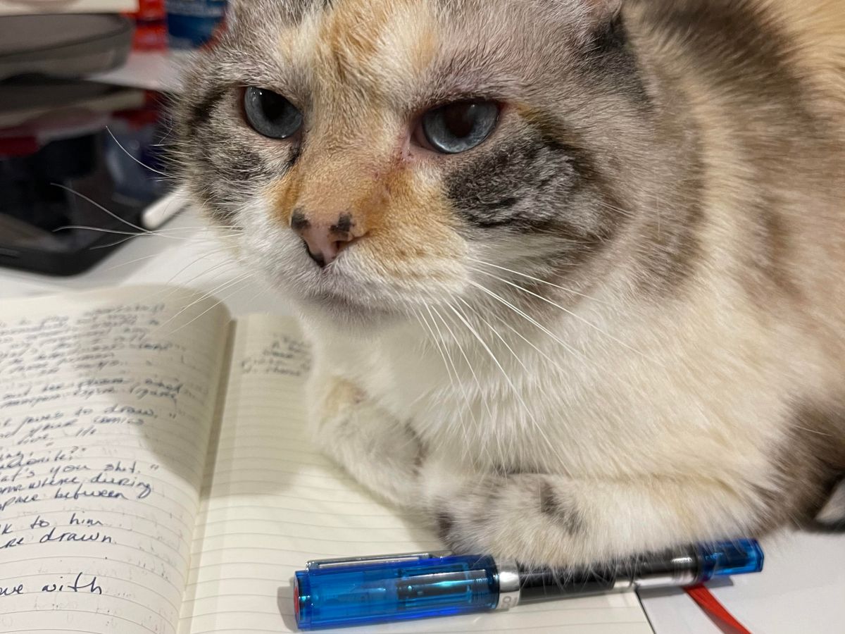 Cats kill productivity.